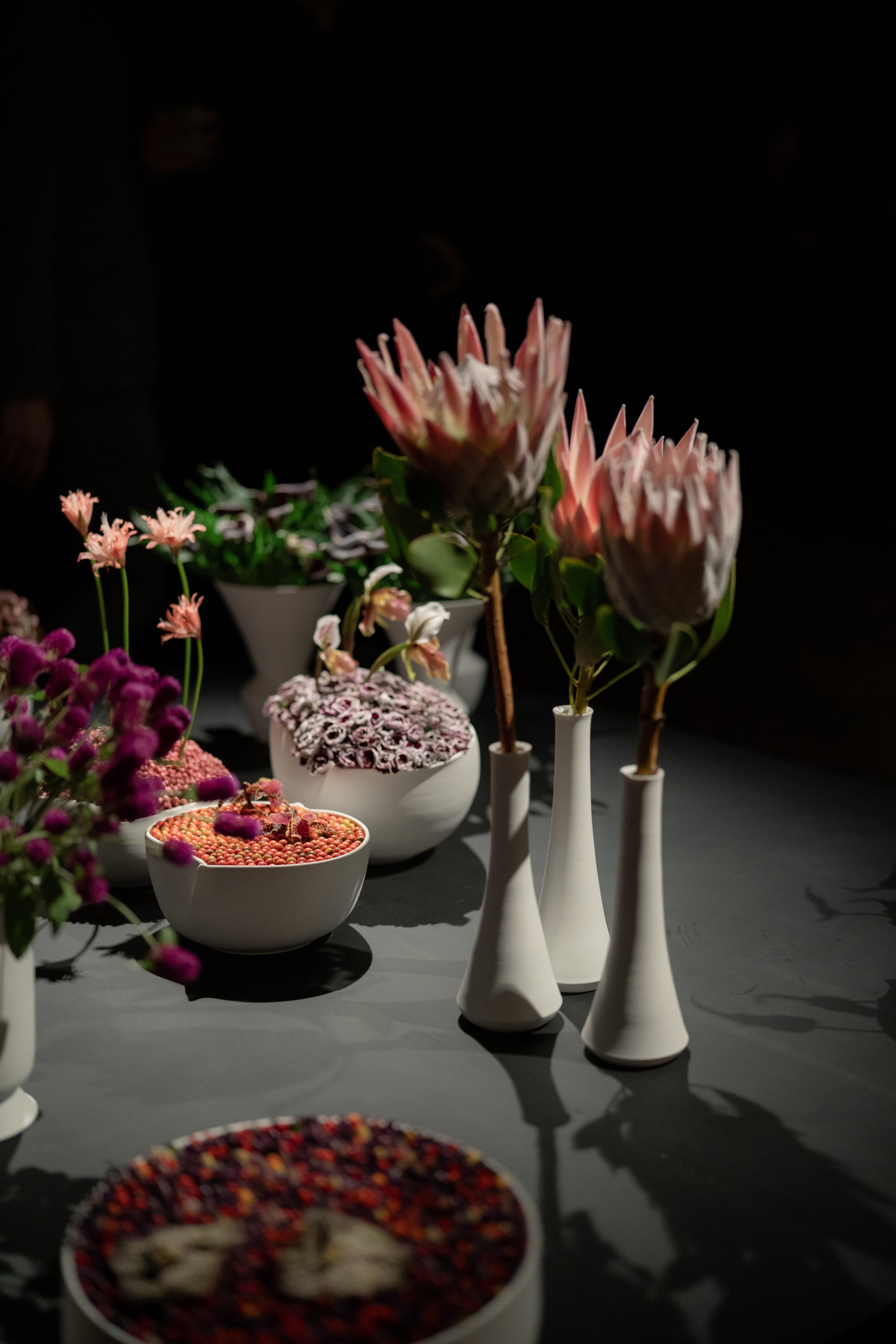 Nicolai Bergmann × TAKASHI KONDO