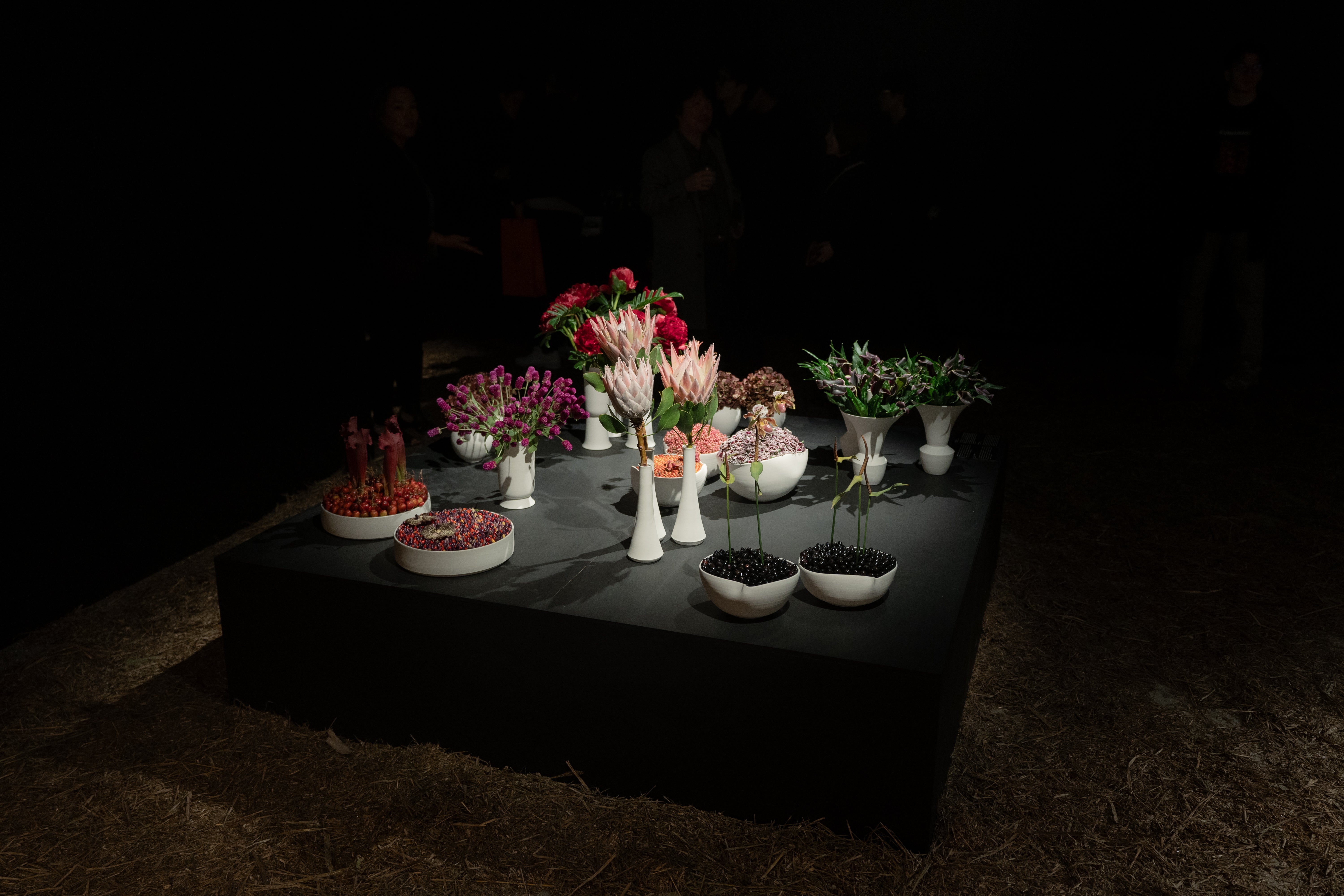 Nicolai Bergmann × TAKASHI KONDO